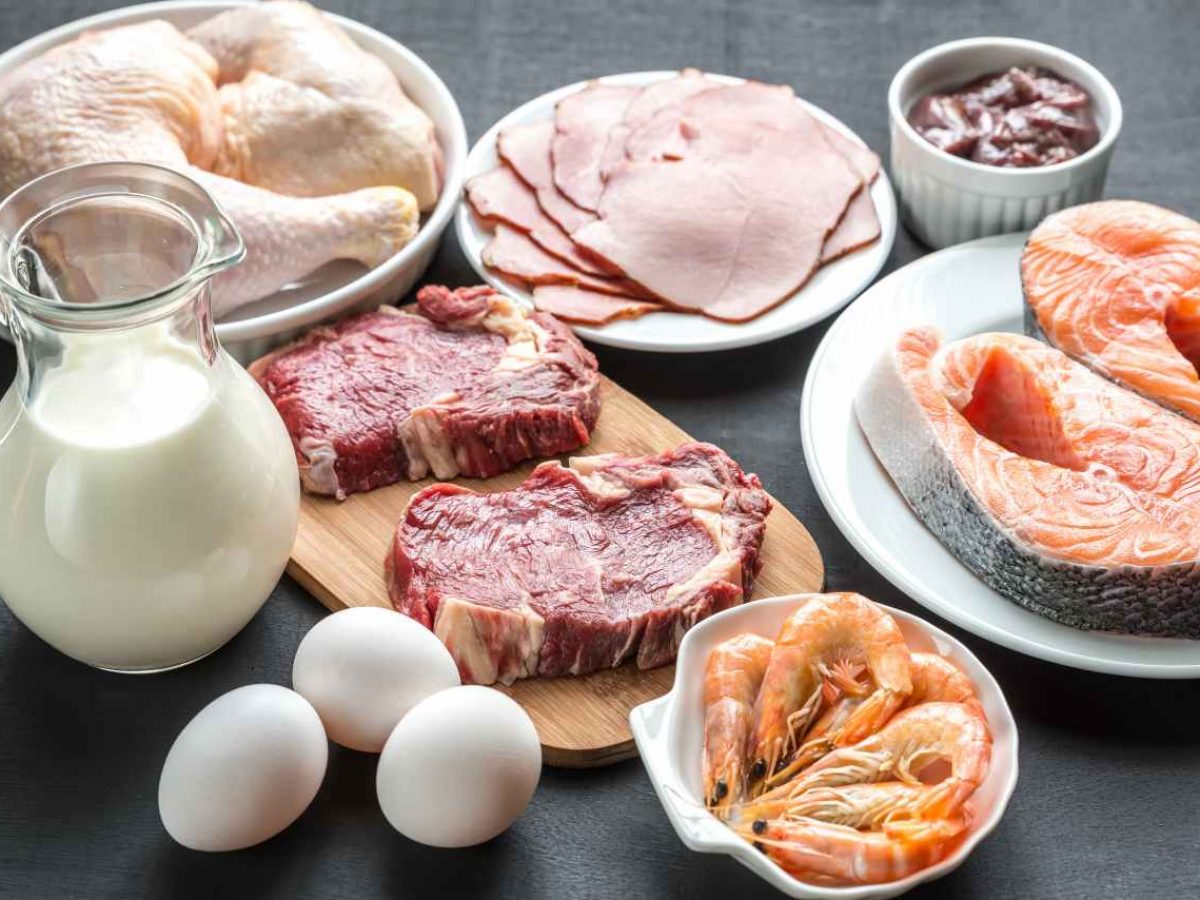 10 Contoh Makanan yang Mengandung Protein Tinggi, Cocok Untuk Diet -  Official Astronauts Blog