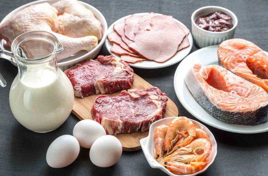 Contoh Makanan yang Mengandung Protein Tinggi, Cocok Untuk Diet