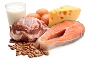 Kamu Harus Tahu, Ini Daftar Makanan yang Mengandung Protein Hewani