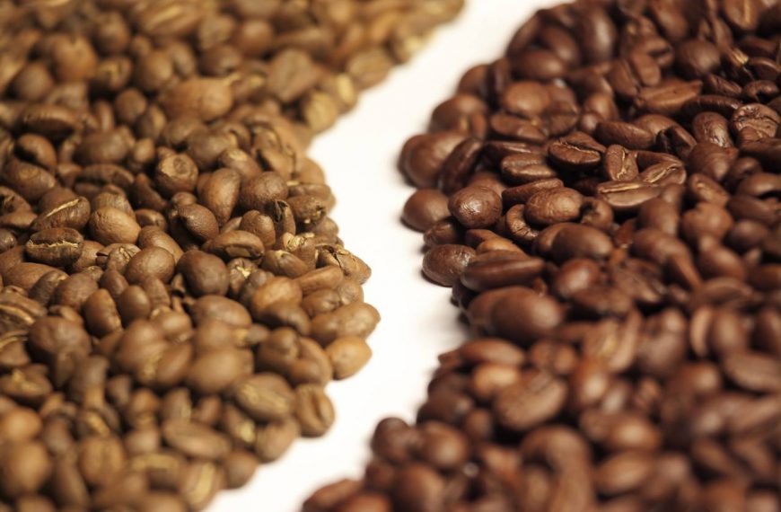 Ini Perbedaan Kopi Robusta dan Arabika, Penggemar Kopi Harus Tahu