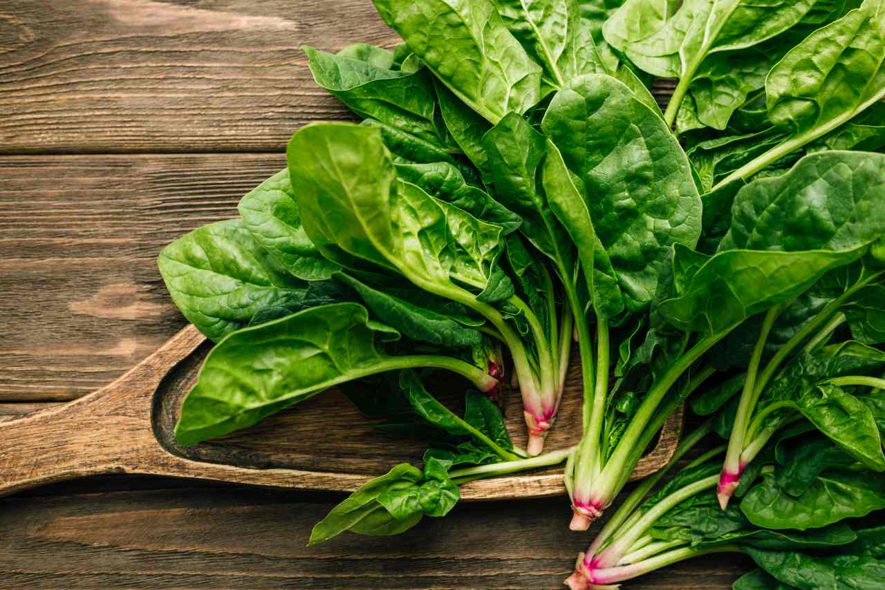 Tidak Cepat Layu, Ini Cara Menyimpan Sayur Bayam Di Kulkas - Official Astronauts Blog