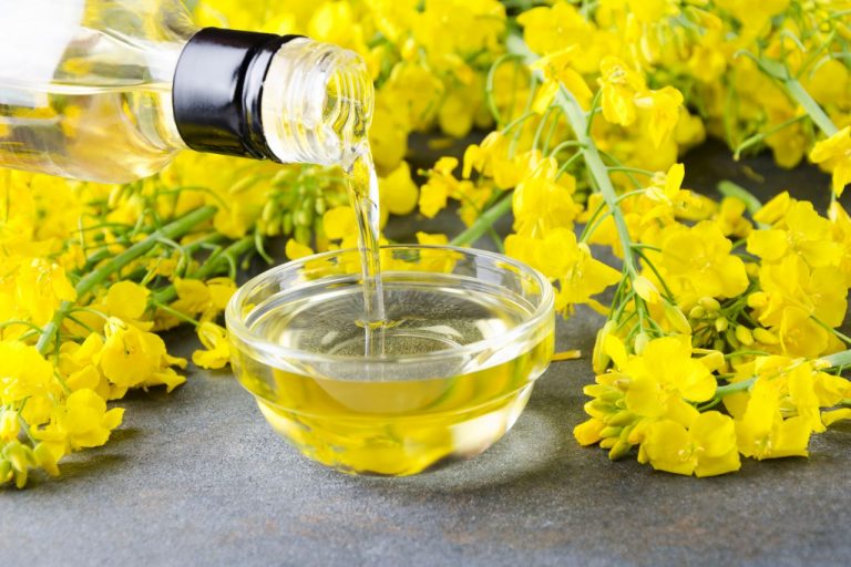 Cara Menggunakan Minyak Canola Untuk Mpasi yang Baik