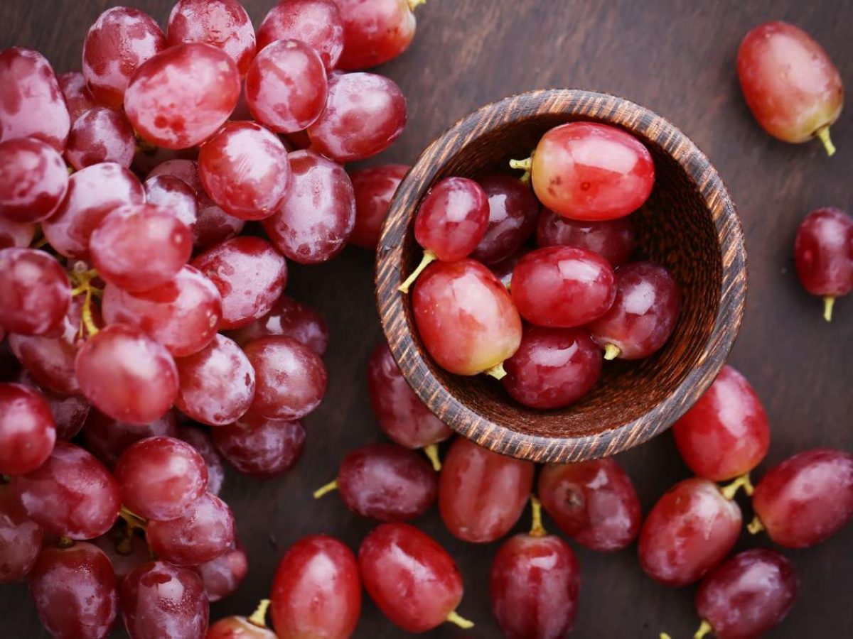 Beragam Manfaat Makan Buah Anggur - Official Astronauts Blog