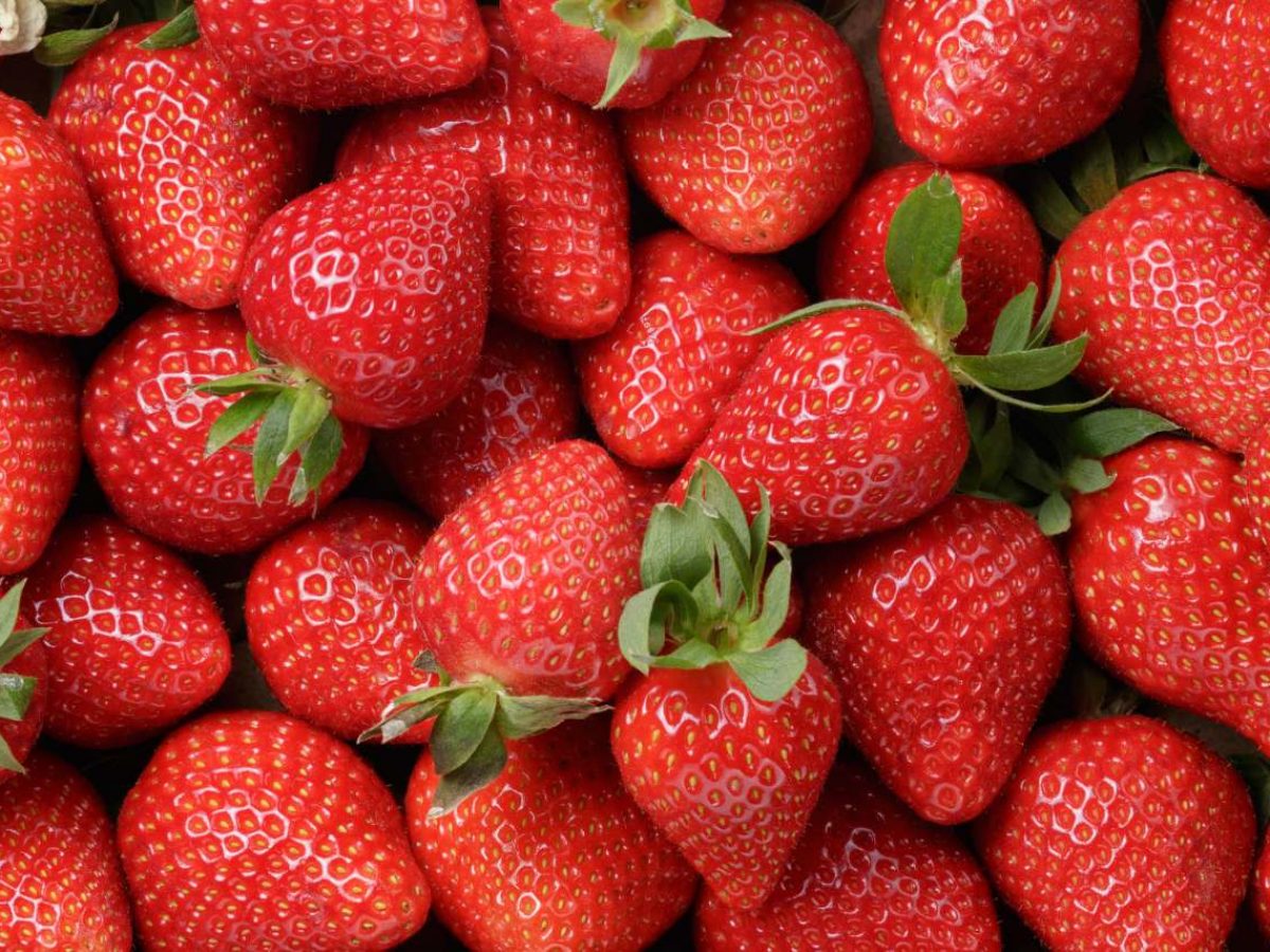 Ini Manfaat Buah Strawberry yang Harus Kamu Ketahui - Official Astronauts Blog