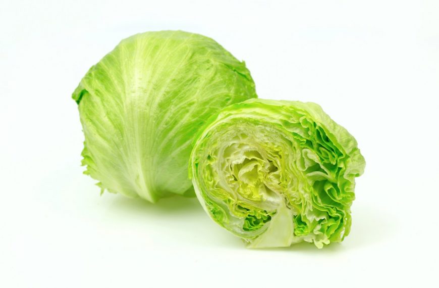 Jangan Lewatkan 5 Manfaat Kesehatan dari Daun Selada Ini!