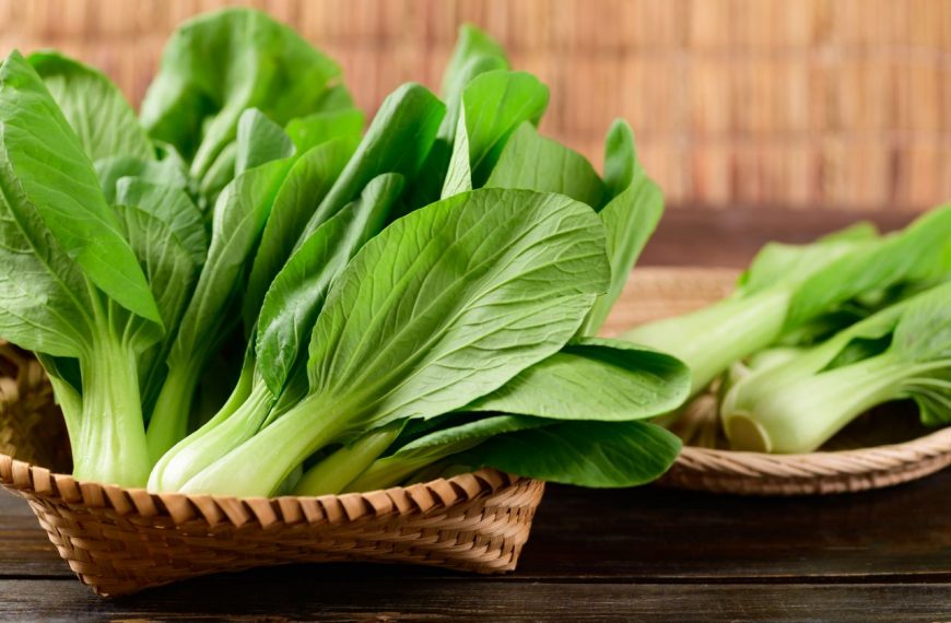5 Manfaat Kesehatan Sayur Pakcoy yang Perlu Kamu Ketahui