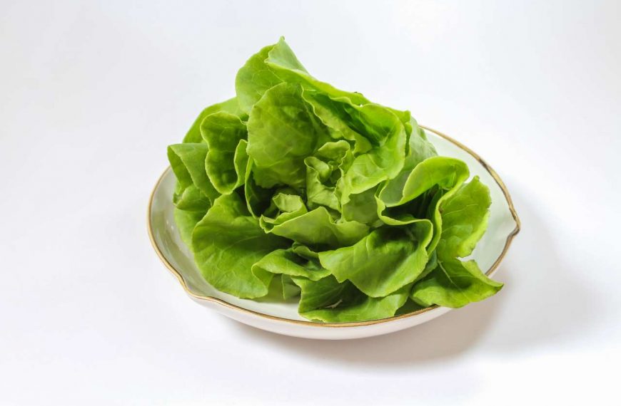4 Resep Selada Butterhead: Sajian Sehat yang Lezat dan Bergizi