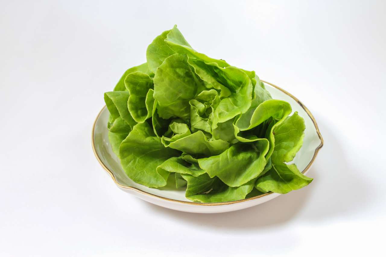 4 Resep Selada Butterhead: Sajian Sehat yang Lezat dan Bergizi