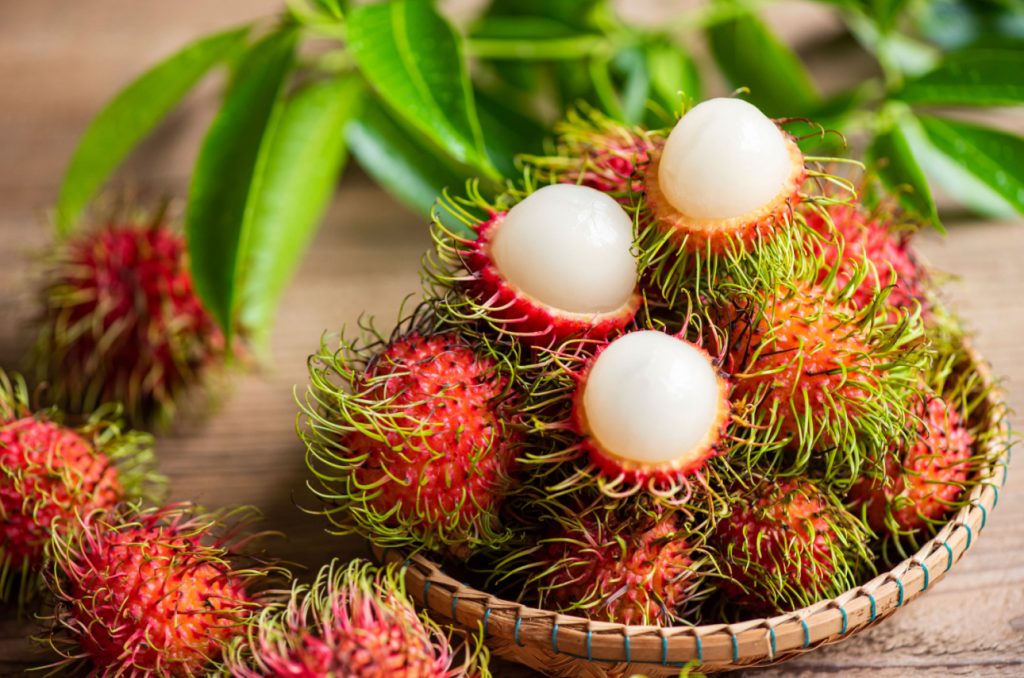 buah tropis indonesia rambutan