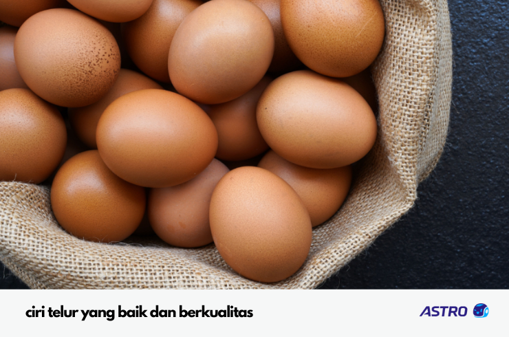 ciri telur baik segar berkualitas