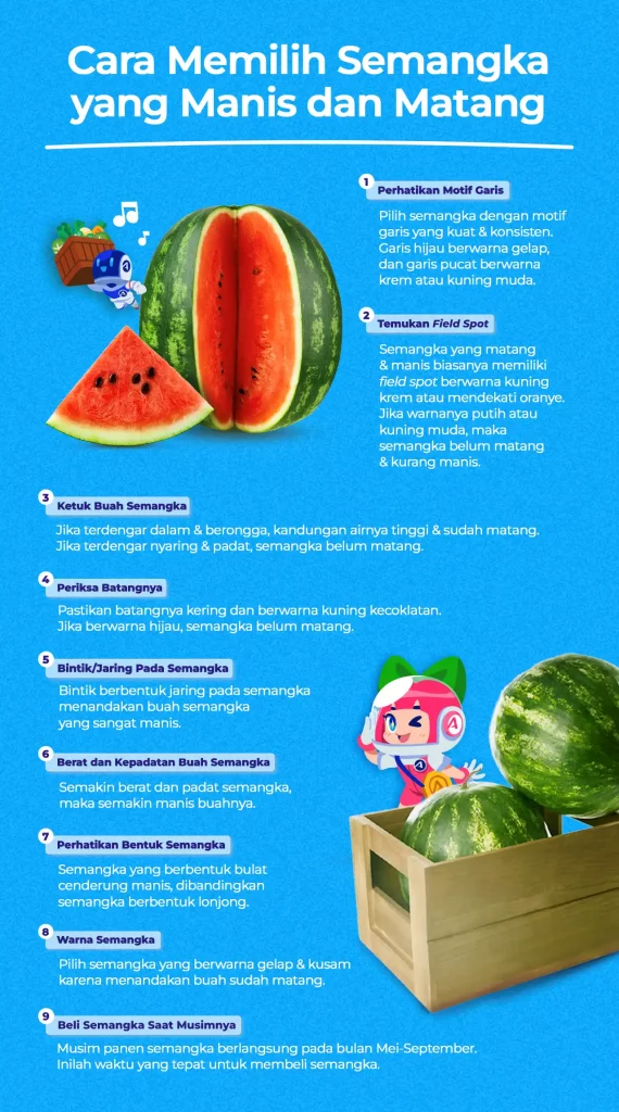 Infografis Cara Memilih Semangka yang Matang dan Manis