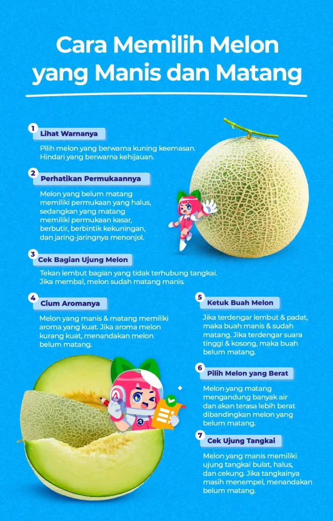 Infografis Cara Memilih Melon yang Manis