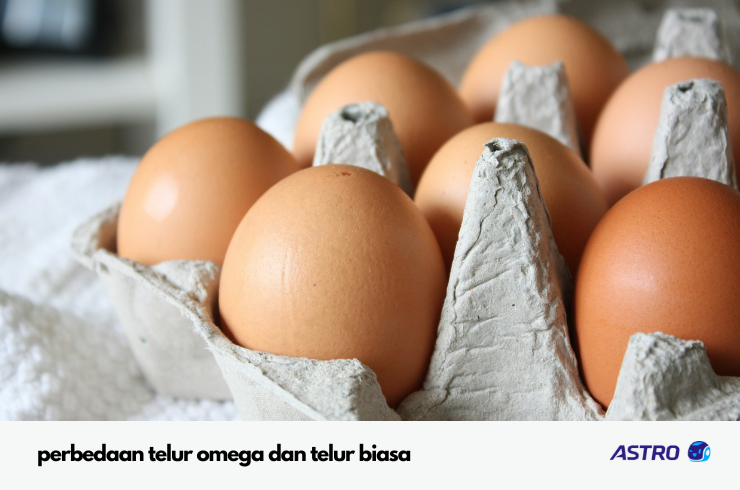 Perbedaan Telur Omega dan Telur Biasa