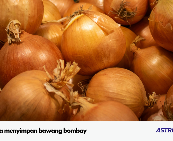 cara menyimpan bawang bombay