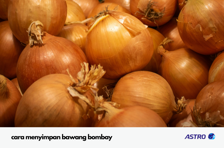 cara menyimpan bawang bombay